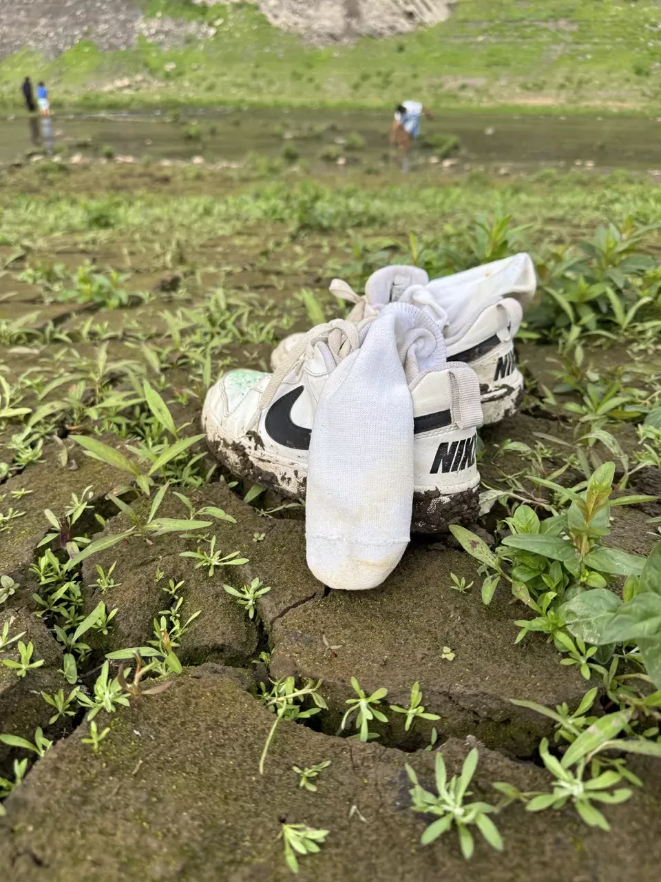 Ausstellung Rathaus Lohfelden