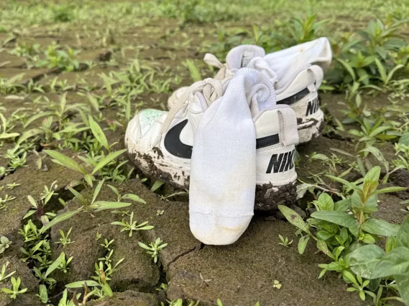 Ausstellung Rathaus Lohfelden