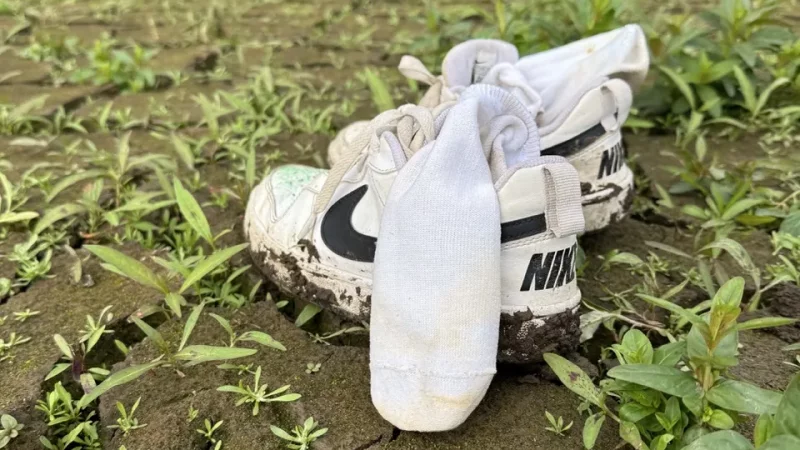 Ausstellung Rathaus Lohfelden