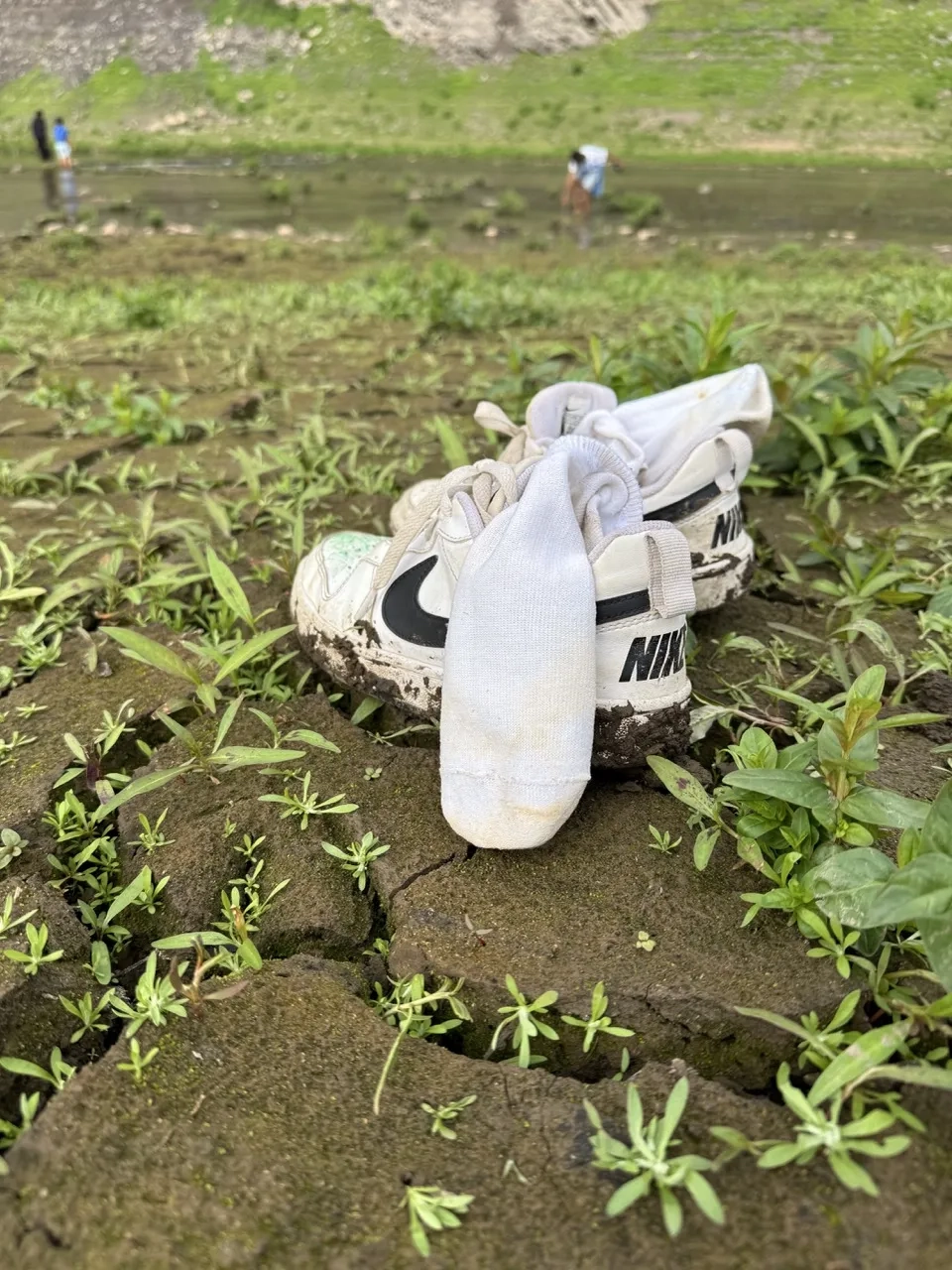 Ausstellung Rathaus Lohfelden