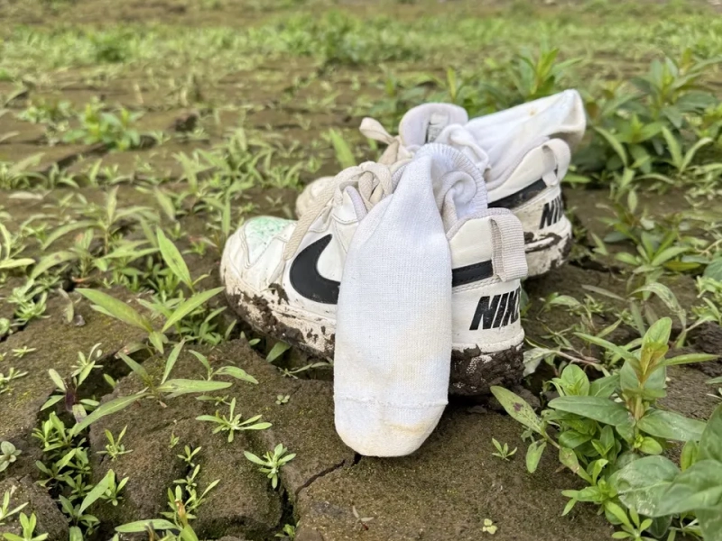 Ausstellung Rathaus Lohfelden